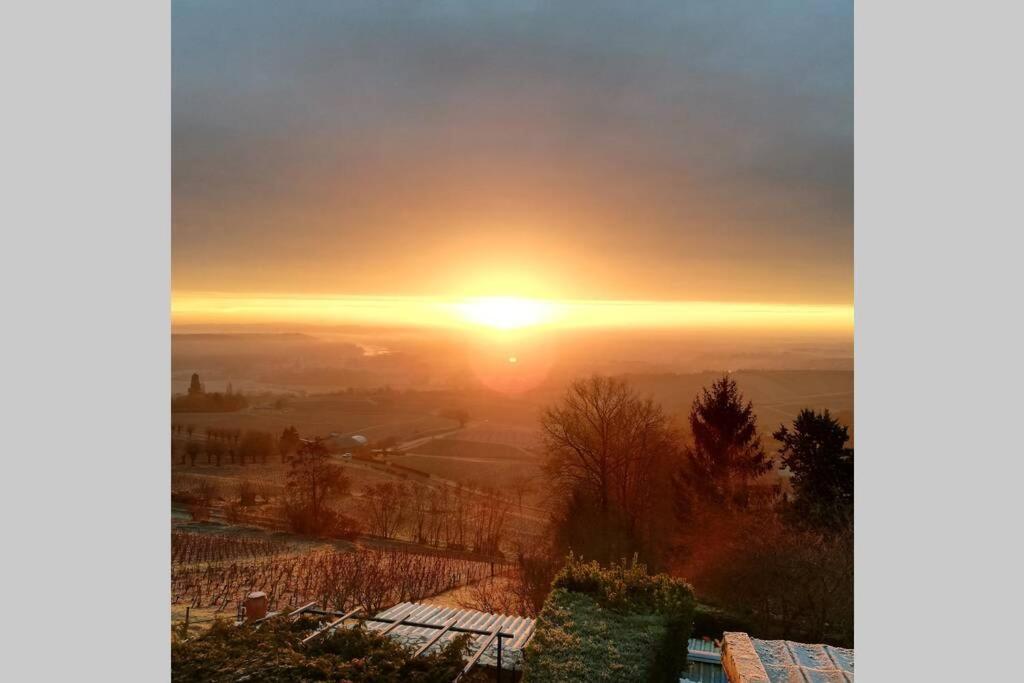 Vue Panoramique Sur Le Vignoble Apartment Sancerre Exterior foto
