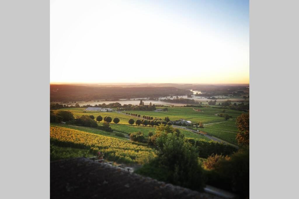 Vue Panoramique Sur Le Vignoble Apartment Sancerre Exterior foto